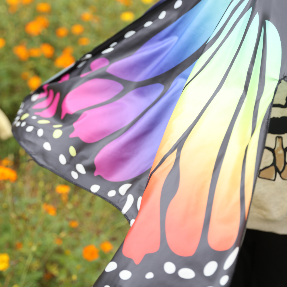 Butterfly Fantasy Wings