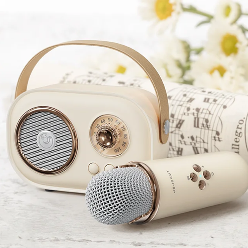 SingEra™ | Retro Karaoke System