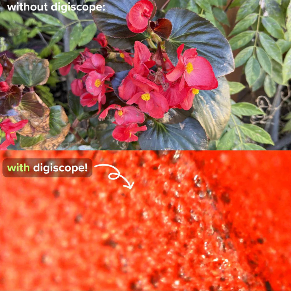 Digiscope™ | Digital Microscope