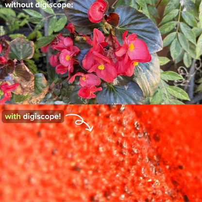Digiscope™ | Digital Microscope