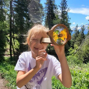 Magical Wooden Optical Toy