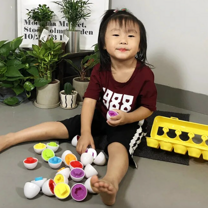 Montessori Geometric Eggs